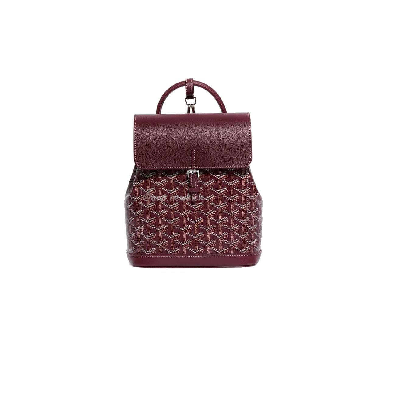 Goyard Alpin Mini Backpack 23 Cm X 9.5 Cm X 19 Cm (9) - www.newkick.vip